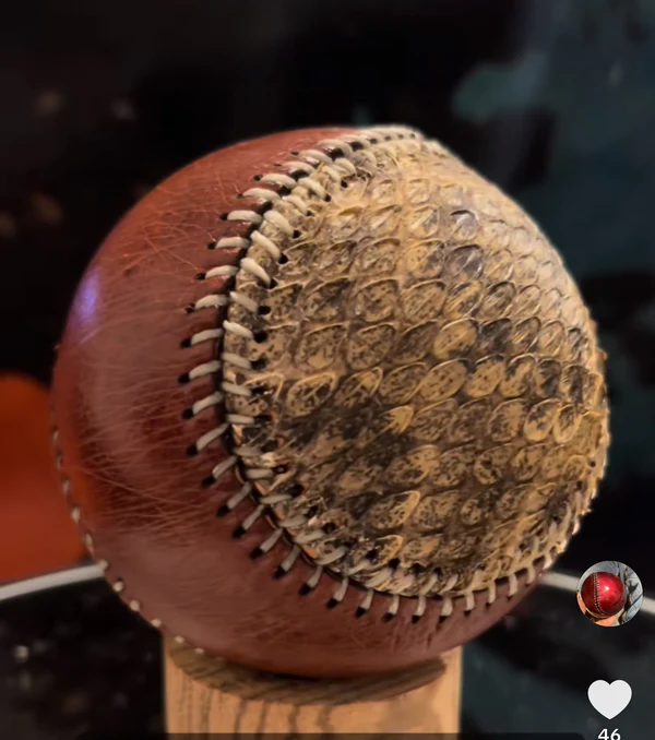 Exotic baseball with reptile skin and reddish-brown leather